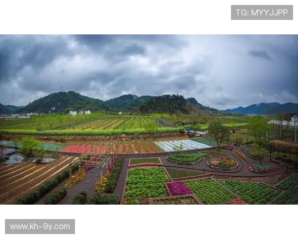 绿城足球嵊州基地全面启航打造长三角青训发展新高地